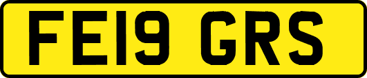 FE19GRS
