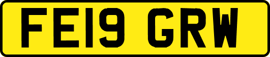 FE19GRW