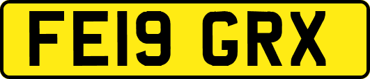 FE19GRX
