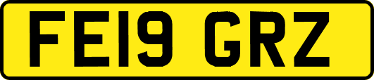 FE19GRZ