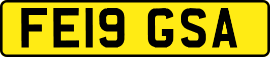 FE19GSA