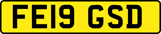 FE19GSD
