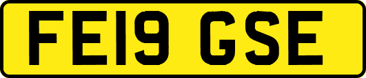 FE19GSE