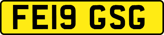 FE19GSG