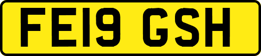 FE19GSH