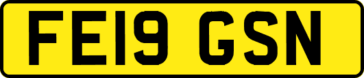 FE19GSN