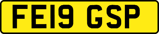 FE19GSP