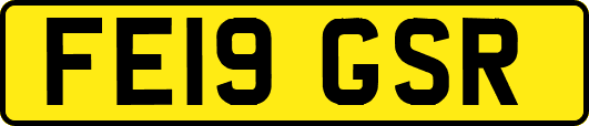 FE19GSR