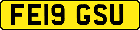 FE19GSU