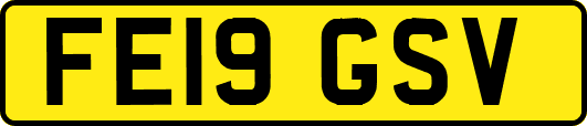 FE19GSV