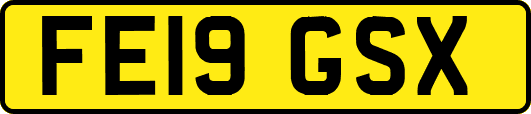 FE19GSX
