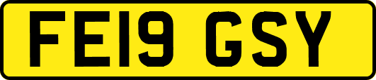 FE19GSY