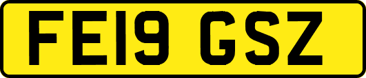 FE19GSZ