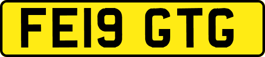 FE19GTG
