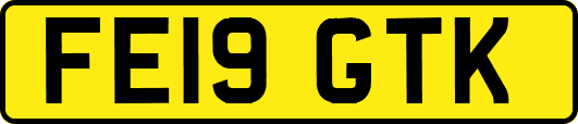 FE19GTK