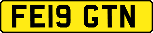 FE19GTN