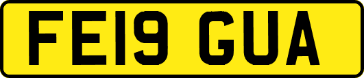 FE19GUA