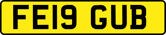 FE19GUB