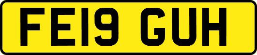 FE19GUH