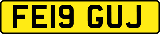 FE19GUJ