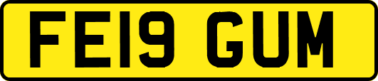FE19GUM