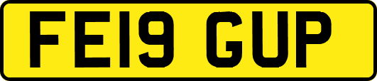 FE19GUP