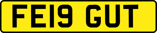 FE19GUT