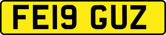 FE19GUZ