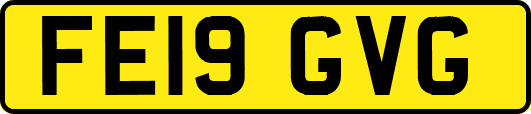 FE19GVG