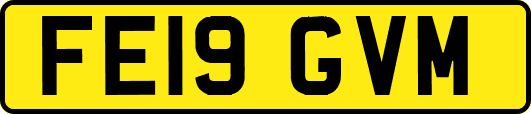 FE19GVM