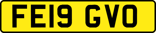 FE19GVO