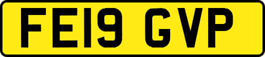 FE19GVP