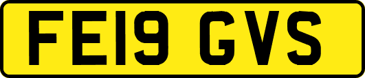 FE19GVS