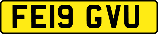 FE19GVU