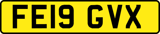 FE19GVX