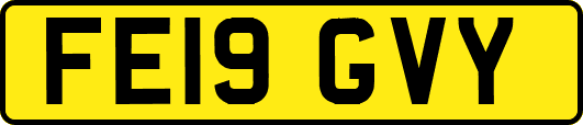 FE19GVY