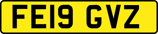 FE19GVZ