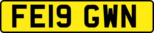 FE19GWN