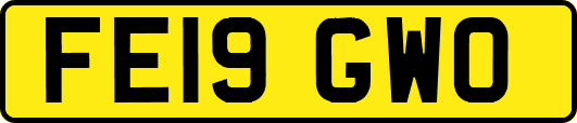 FE19GWO