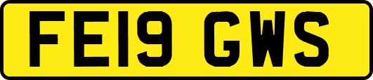 FE19GWS