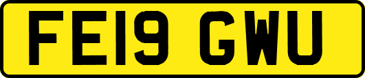 FE19GWU