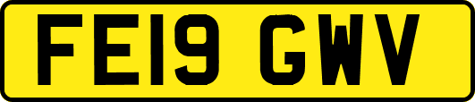 FE19GWV