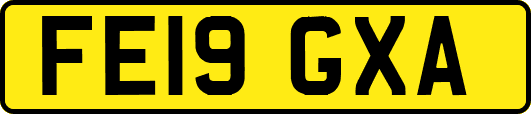 FE19GXA