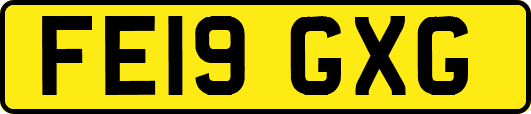FE19GXG
