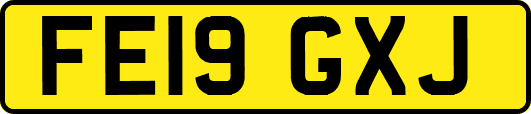 FE19GXJ
