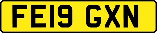 FE19GXN