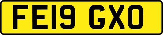 FE19GXO