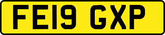 FE19GXP