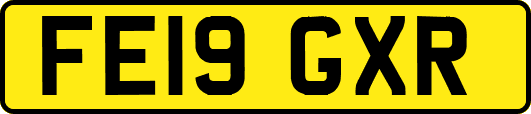 FE19GXR