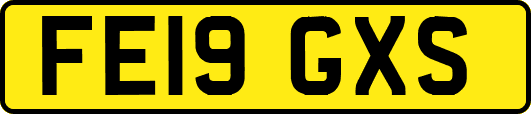 FE19GXS